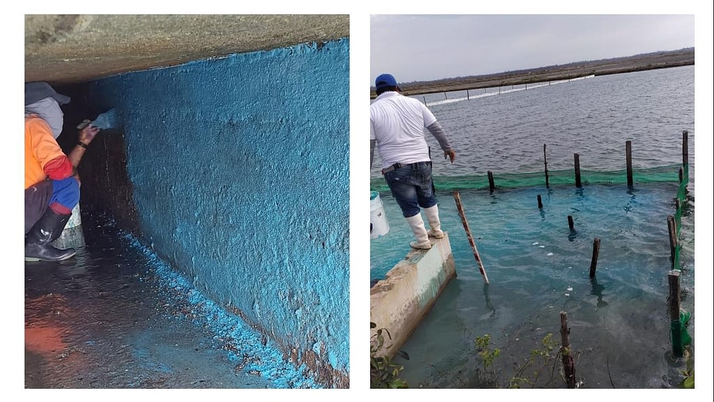 Figura 7. Tratamiento preventivo de una mezcla de sulfato de cobre, cal y goma de pintar para aplicar en compuertas de ingreso de agua y erradicar las larvas de moluscos durante el llenado de agua en un estanque de cultivo. (Foto de los autores).