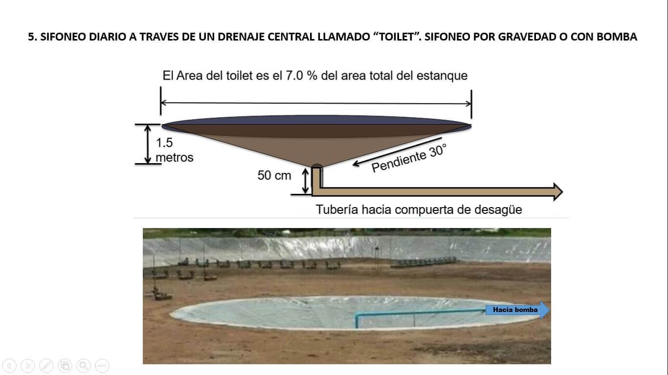 Diseño del toilet para una piscina de cultivo intensivo con agua de pozo de baja salinidad.
